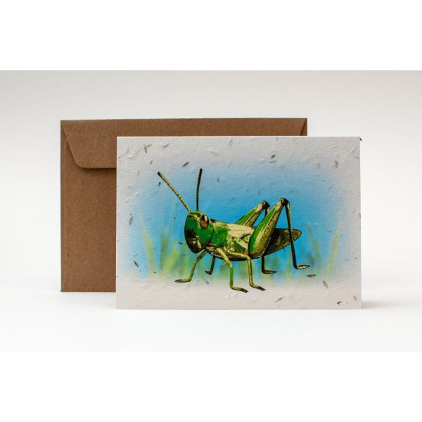 Grasshopper Plantable Note Card with kraft envelope.