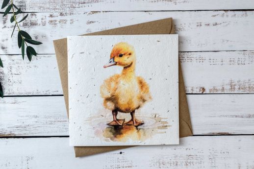 baby duck greeting card