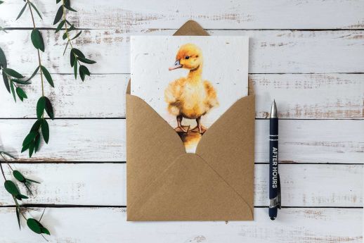 baby duck seed paper greeting card with kraft envelope