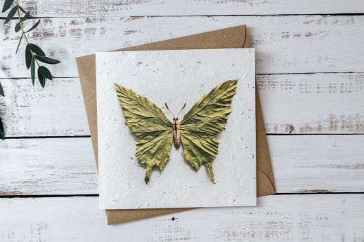 butterfly leaf seed paper greeting card
