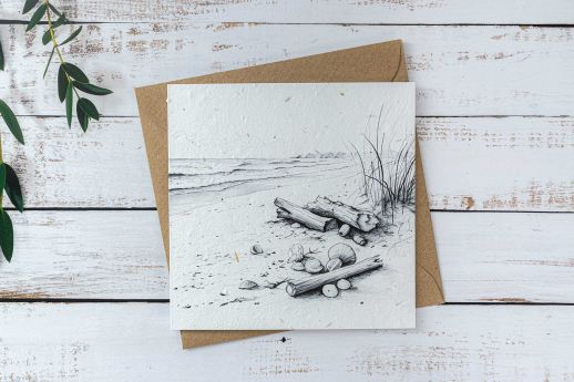 driftwood and shells seed paper greeting card