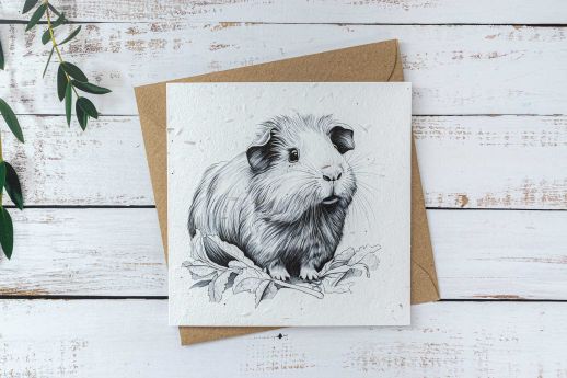 guinea pig card