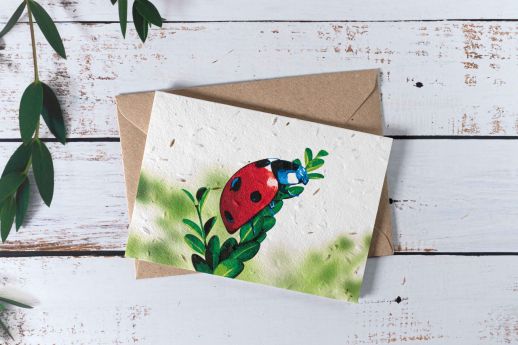 Ladybird Plantable Note Card with kraft envelope.