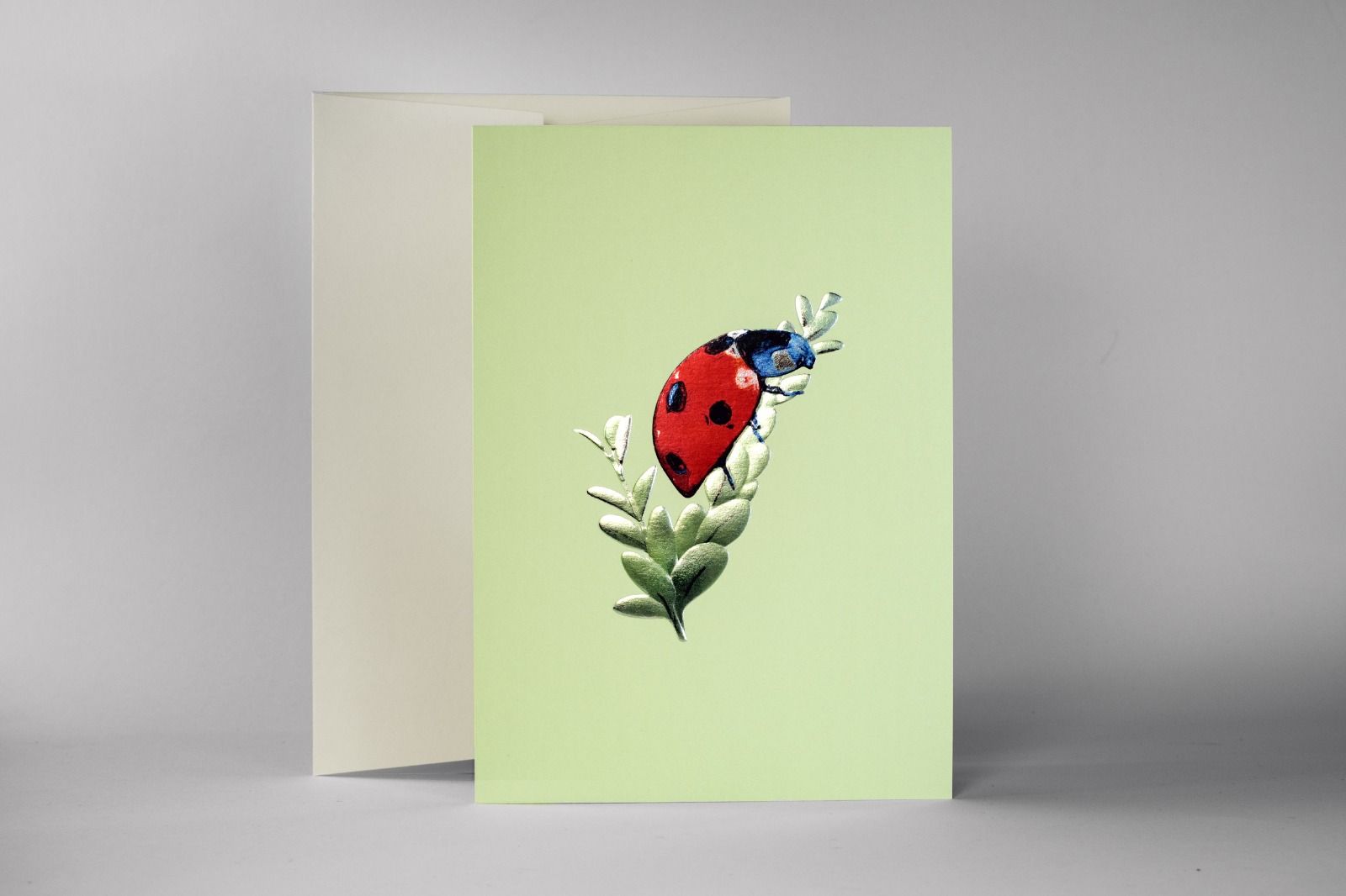 Foil Embossed Lady Bird Greeting Card with envelope.