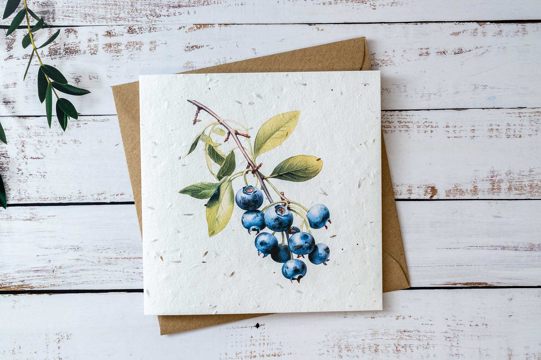 blueberry greeting card