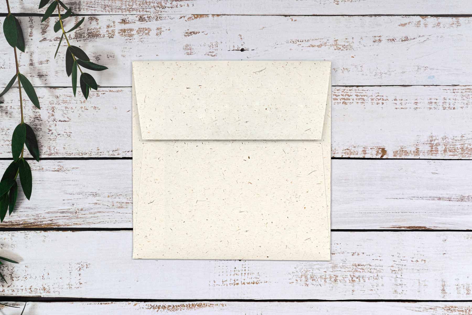 Elephant poo paper envelope 150mm square with peel and seal enclosure.