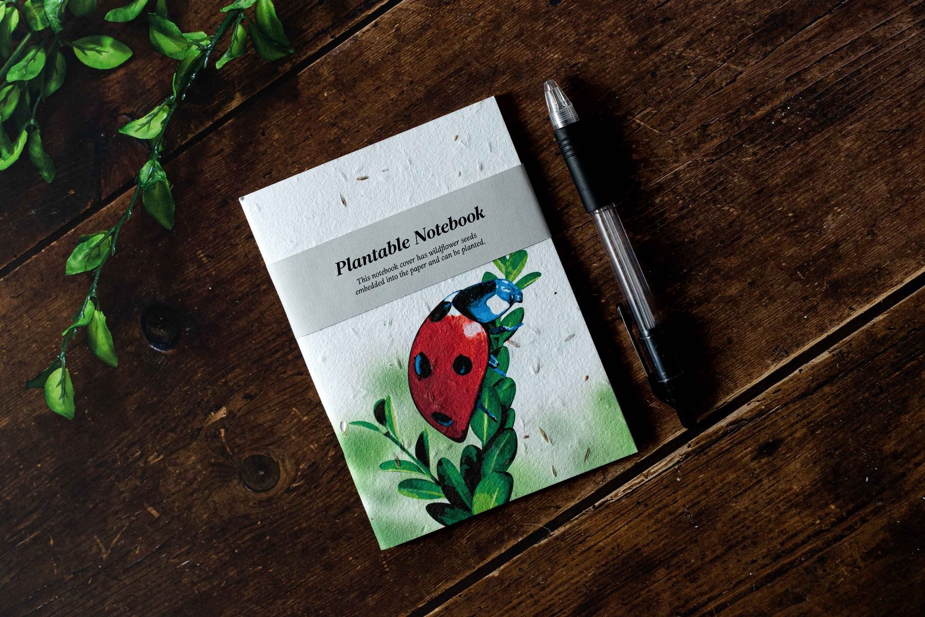 Ladybird Plantable Mini Notebook.