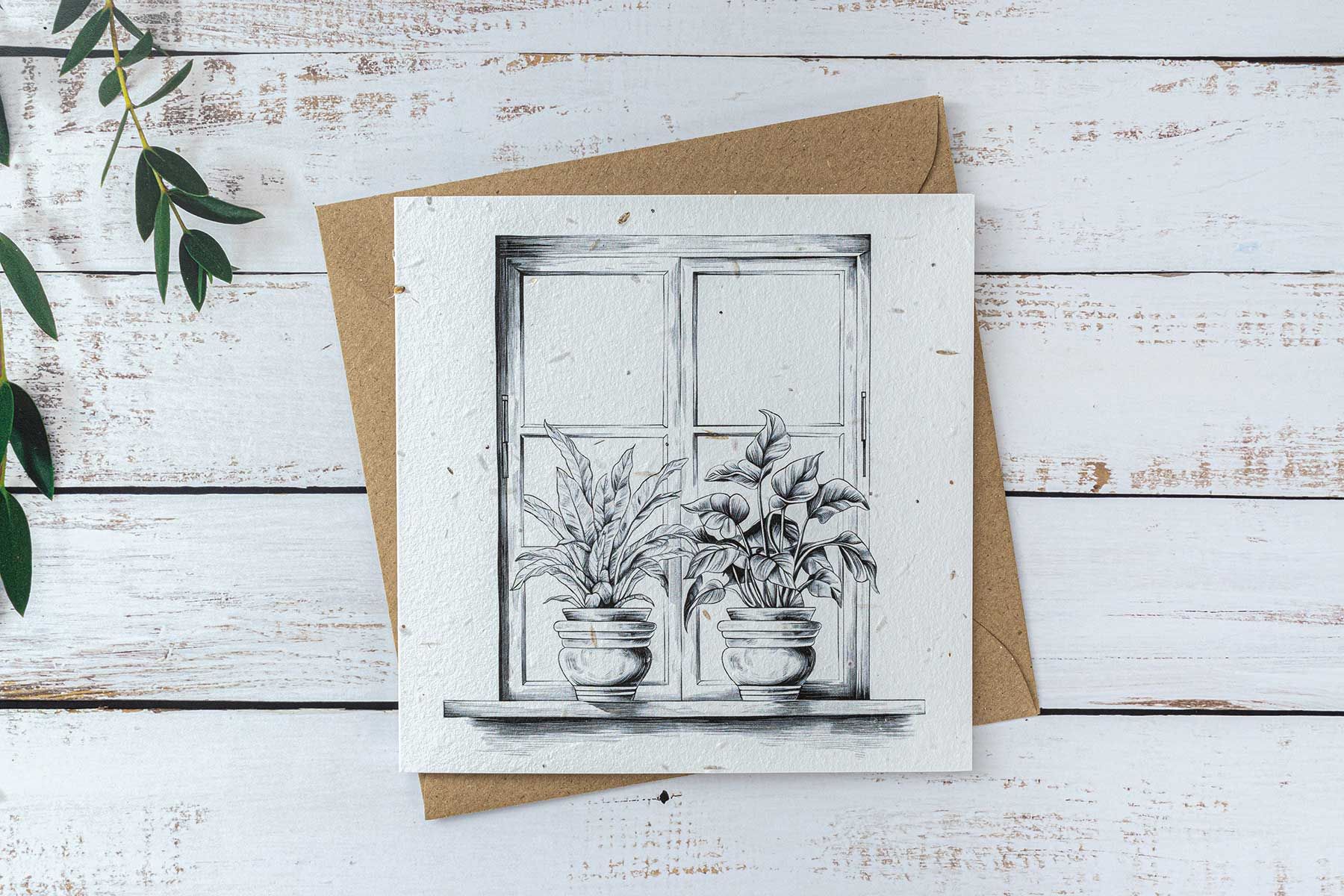 plants on windowsill seed paper greeting card