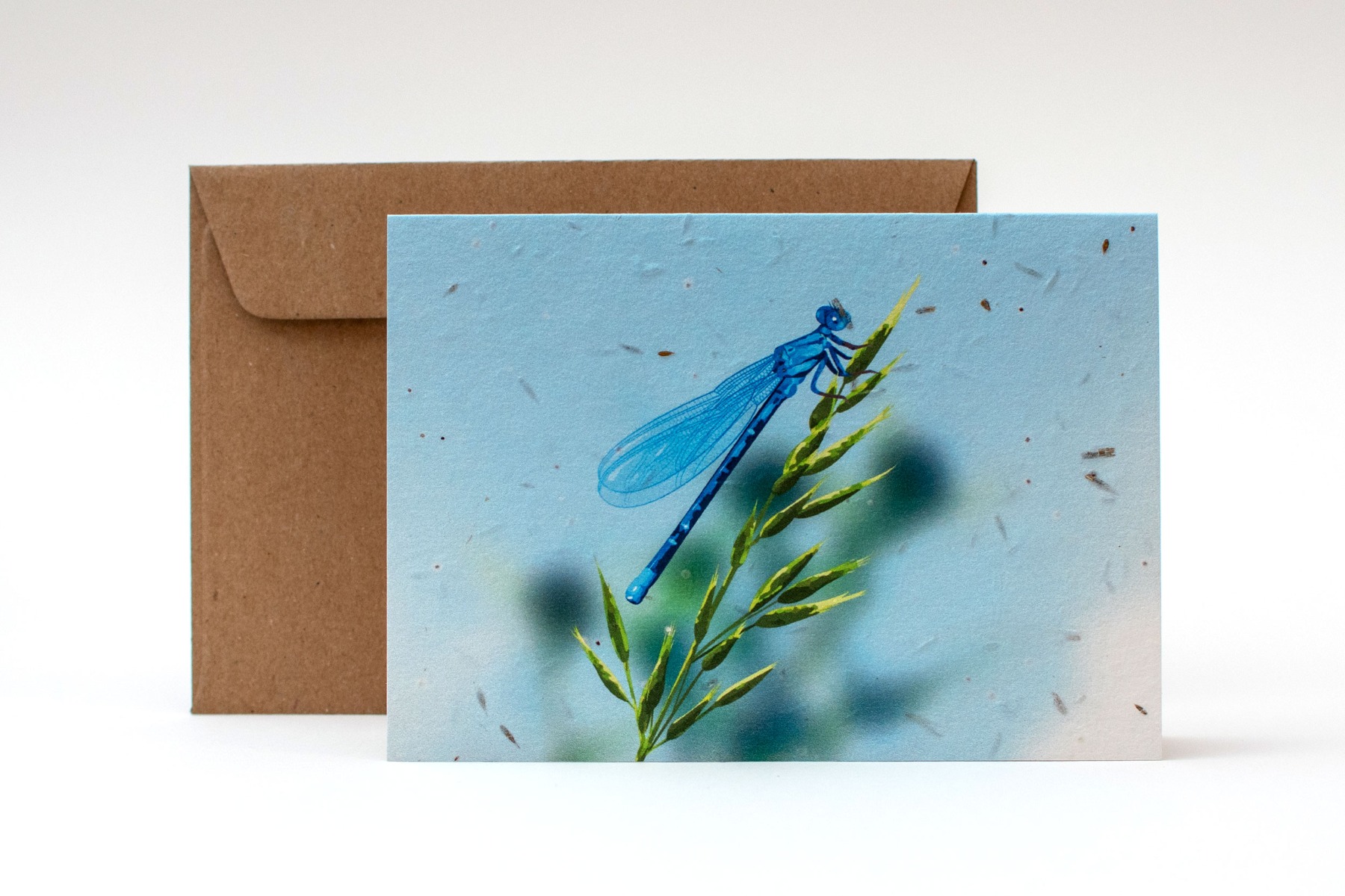 seed paper note card dragonfly